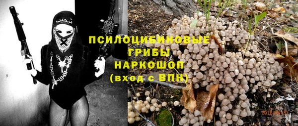 гашик Арсеньев
