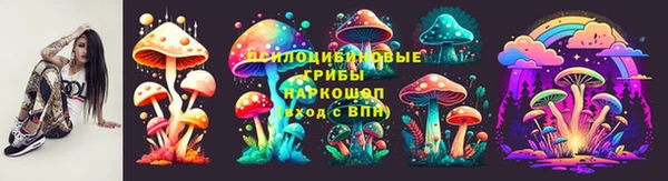 крисы Аркадак