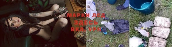 крисы Аркадак